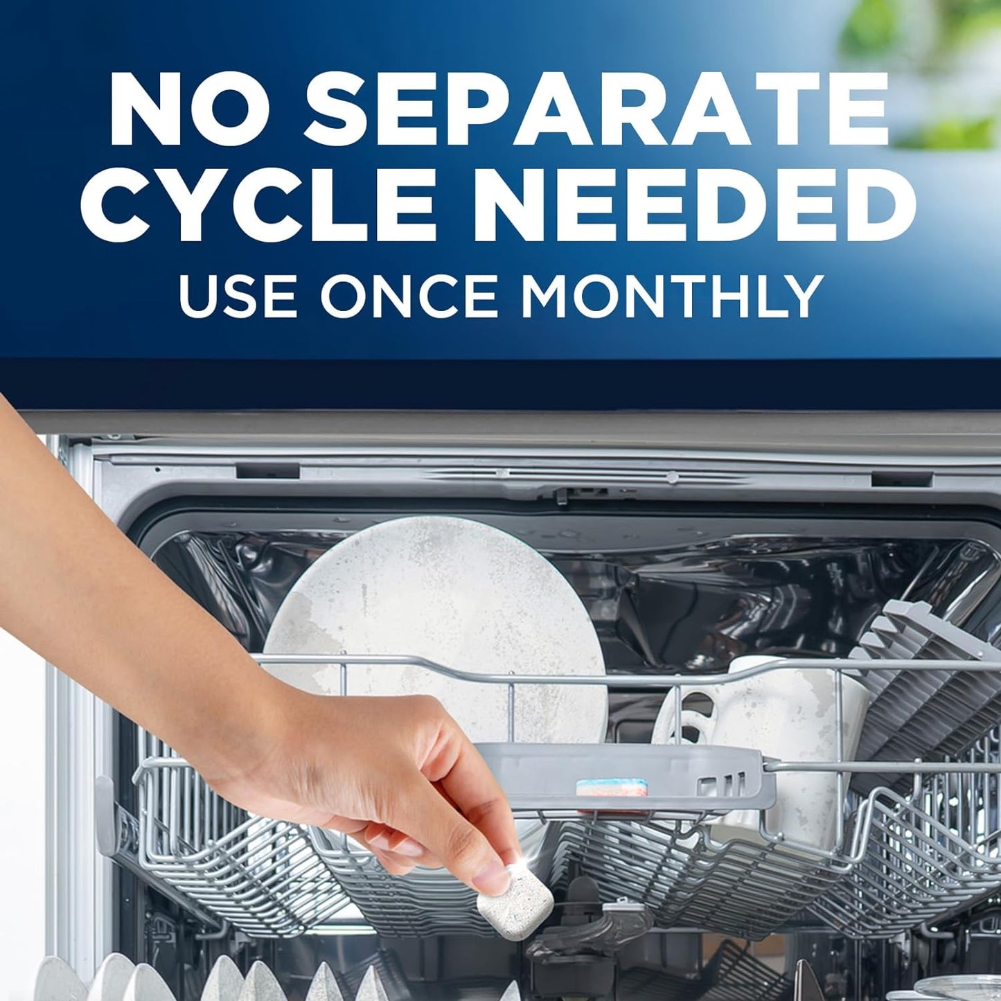 Finish Dishwasher Cleaner Tabs